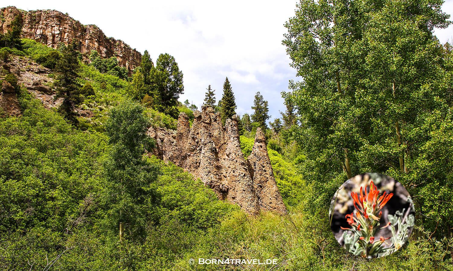 Elk Loop Byway,Colorado,USA,born4travel.de