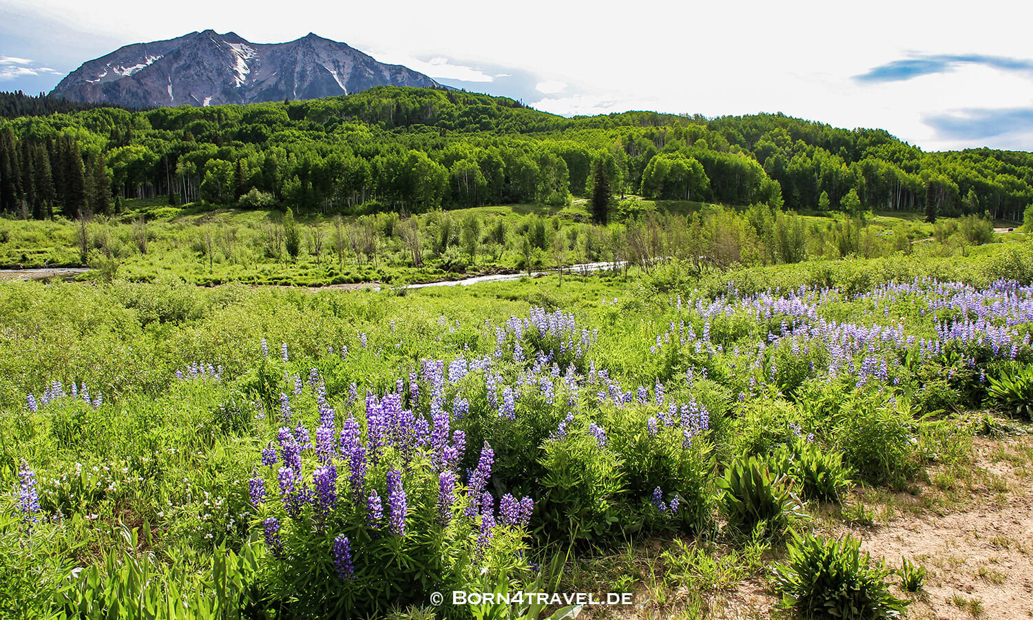 Unterwegs auf dem Kebler Pass,Elk Loop Byway,Colorado,USA,born4travel.de