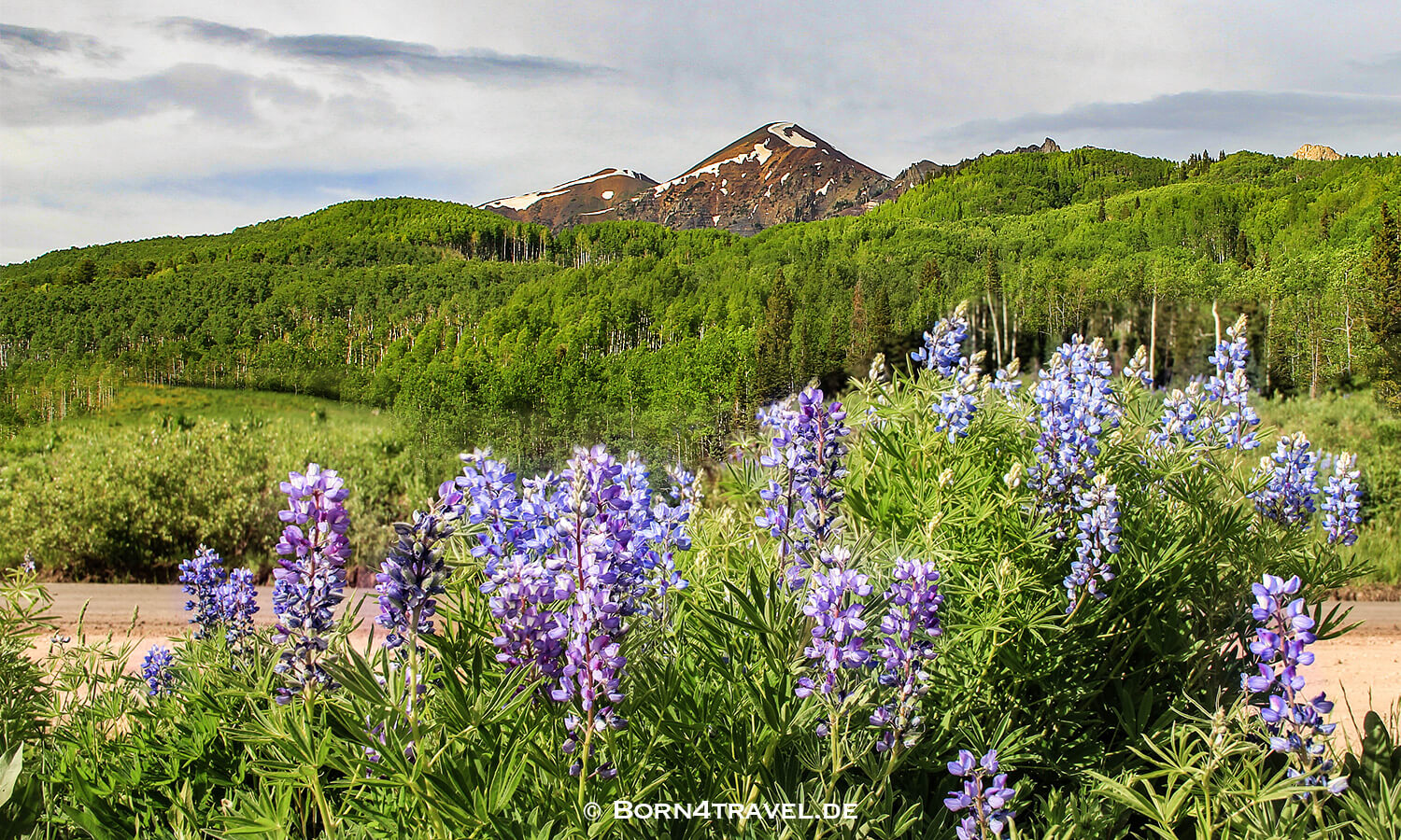 Unterwegs auf dem Kebler Pass,Elk Loop Byway,Colorado,USA,born4travel.de