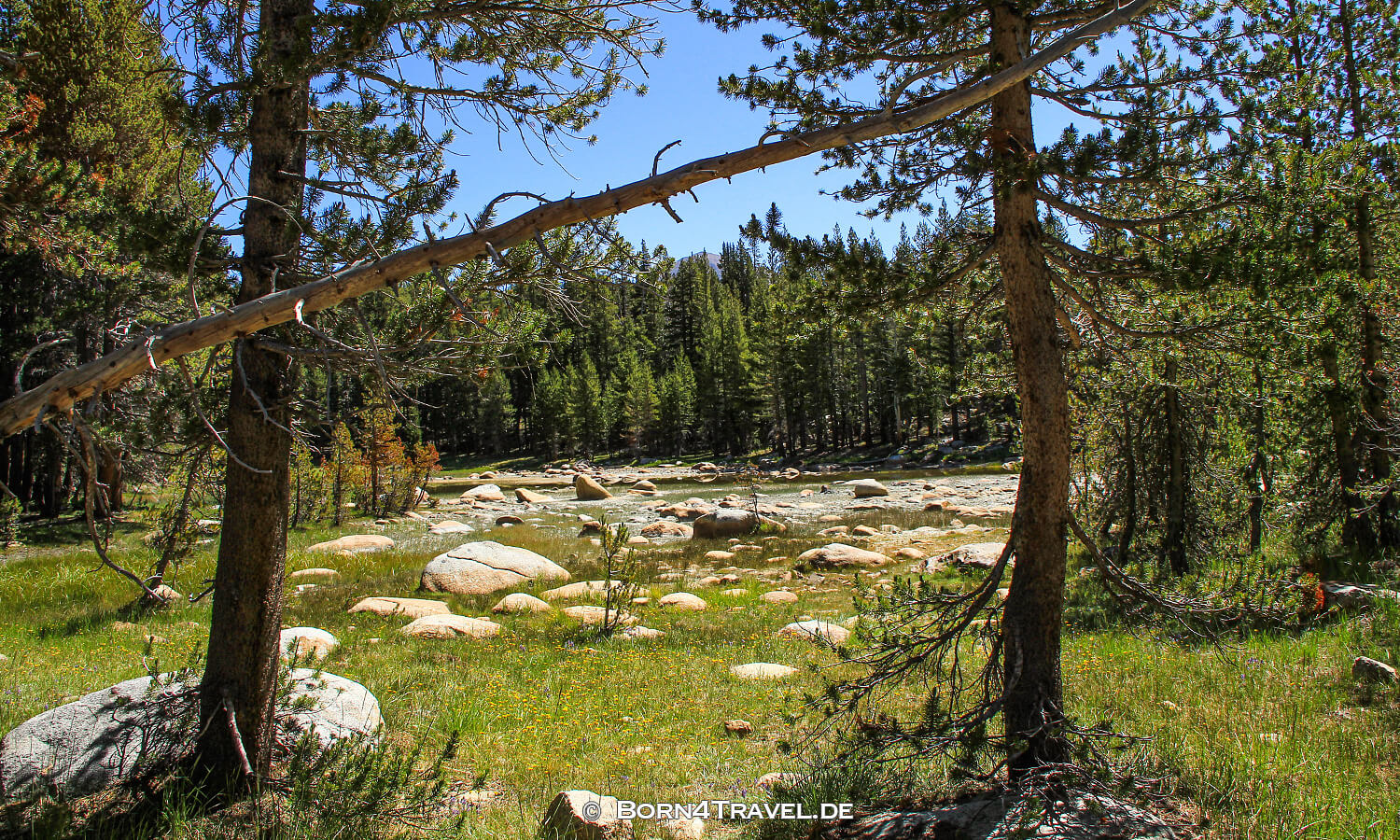 Toulumne Meadows im Yosemite National Park, California,USA,born4travel.de