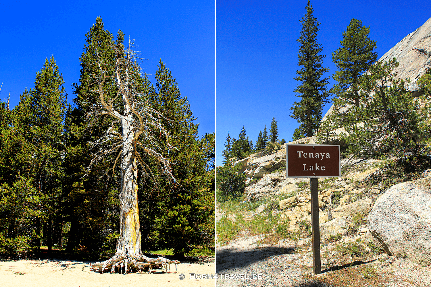 Lake Tenaya im Yosemite National Park, California,USA,born4travel.de