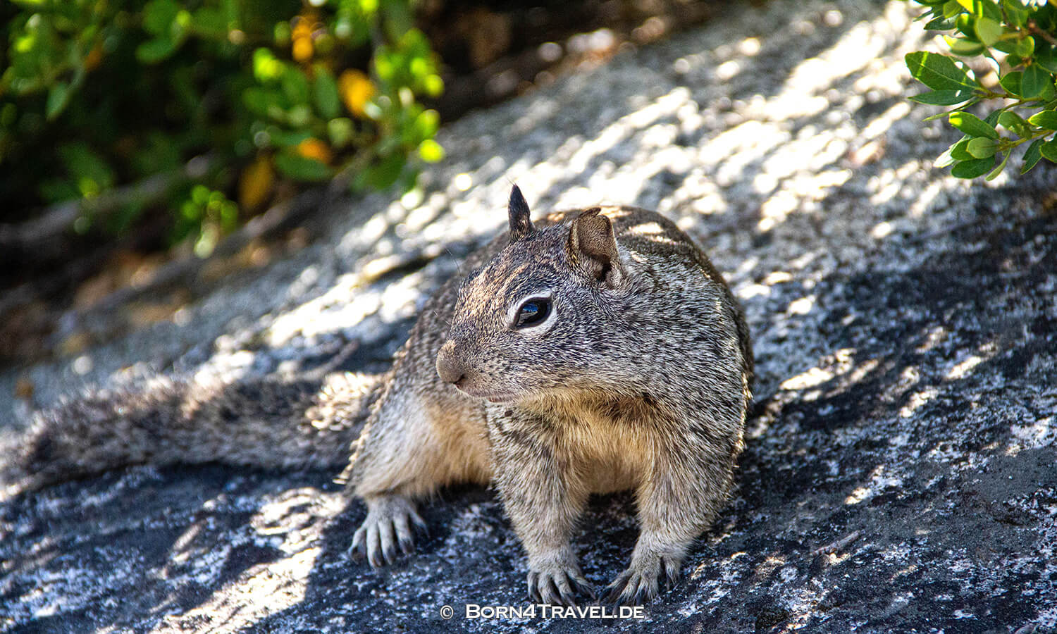 Glacier Point im Yosemite National Park, California,USA,born4travel.de