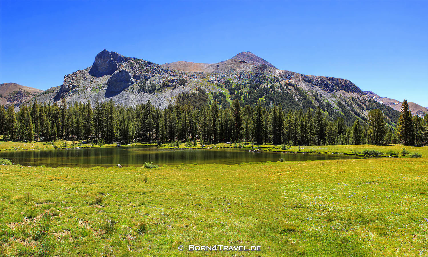 Toulumne Meadows im Yosemite National Park, California,USA,born4travel.de