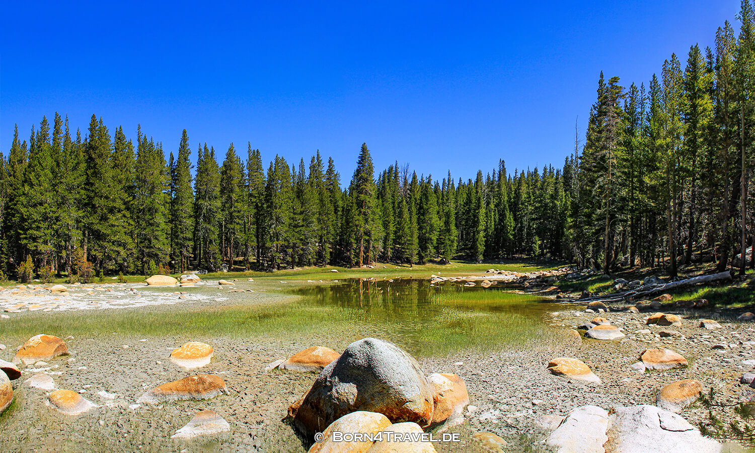 Toulumne Meadows im Yosemite National Park, California,USA,born4travel.de