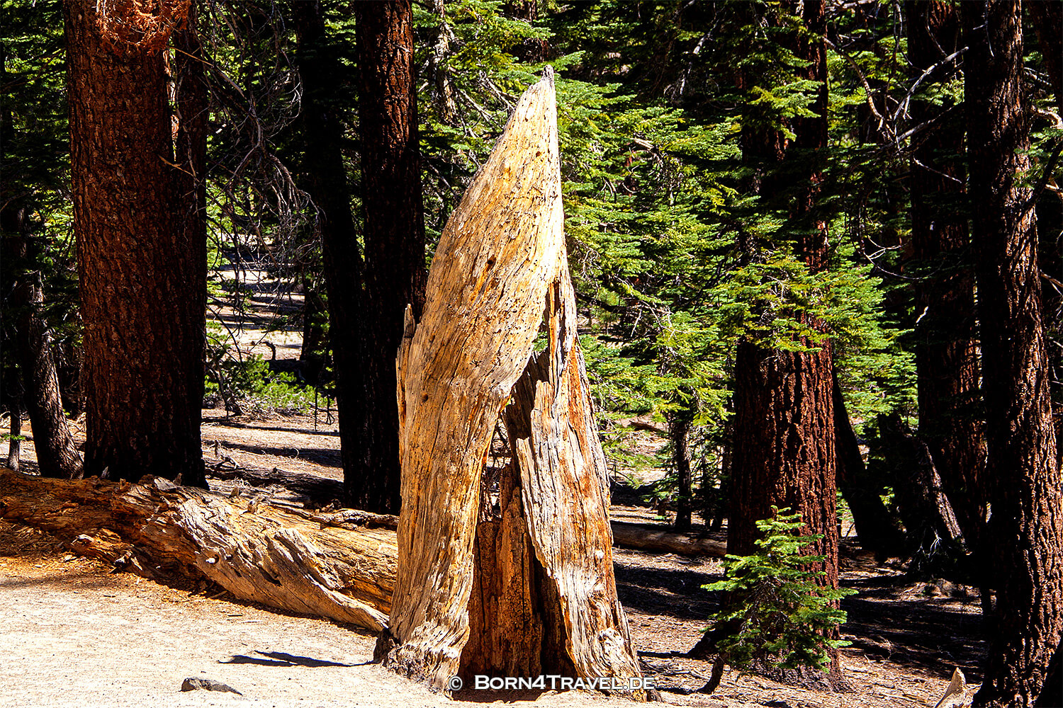 Eartquake Fault bei Mamoth Lakes,California,USA,born4travel.de