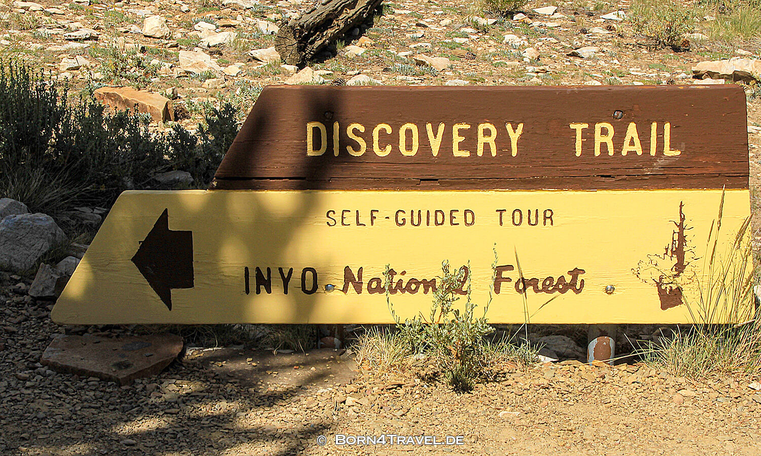 Ancient Bristlecone Pine Forest,California,USA,born4travel.de