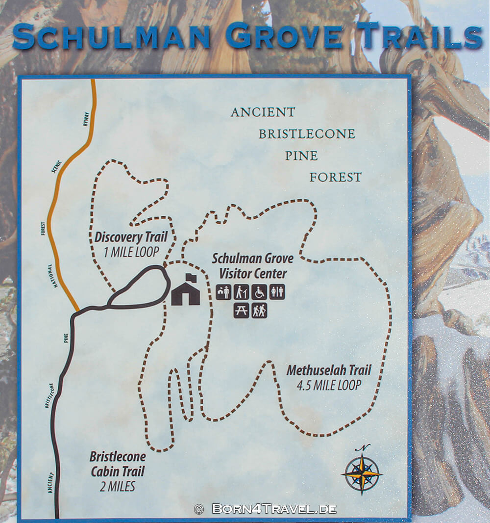 Wanderwege im Ancient Bristlecone Pine Forest,California,USA,born4travel.de