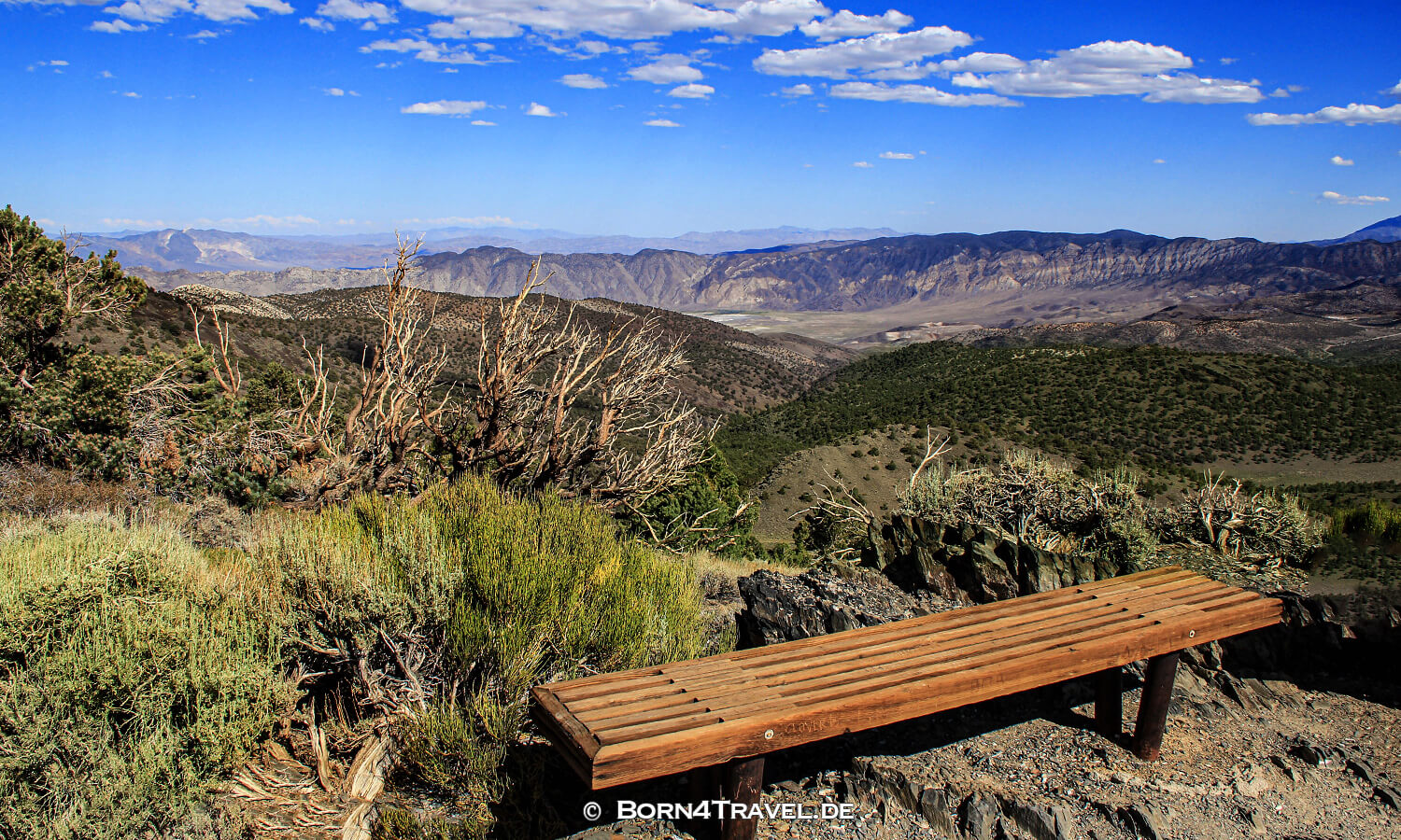 Ancient Bristlecone Pine Forest,California,USA,born4travel.de