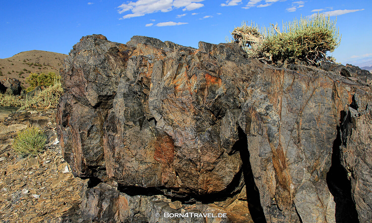 Ancient Bristlecone Pine Forest,California,USA,born4travel.de