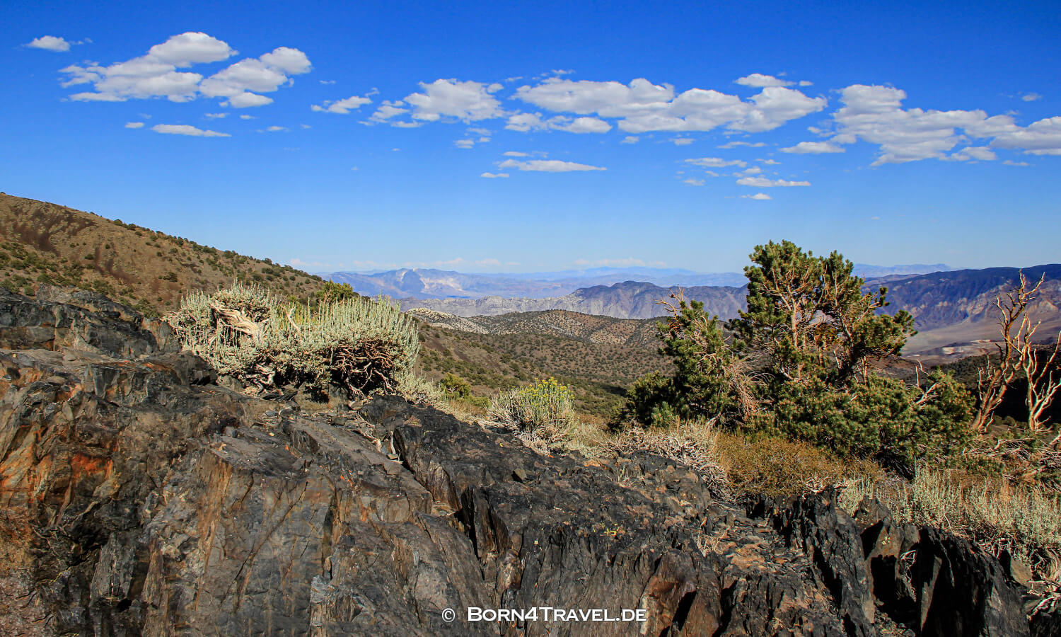 Ancient Bristlecone Pine Forest,California,USA,born4travel.de