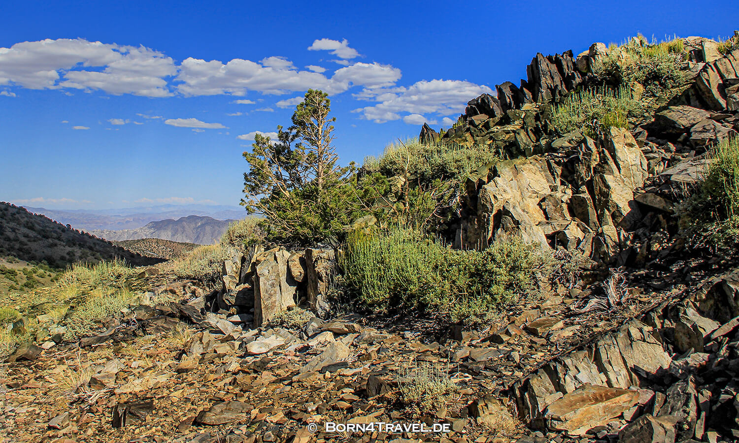 Ancient Bristlecone Pine Forest,California,USA,born4travel.de