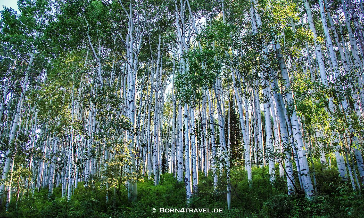 Kebler Pass in Colorado,Beautiful Colorado,USA,born4travel.de