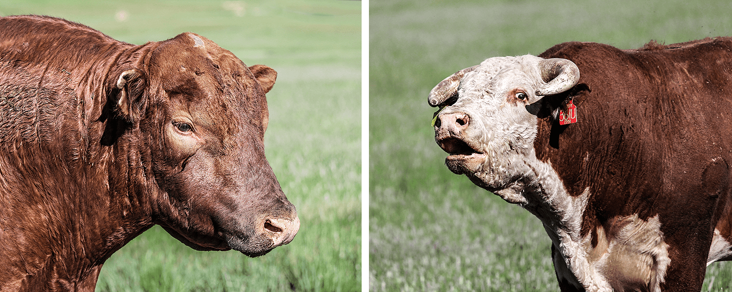 ,Beautiful Colorado,USA,born4travel.de