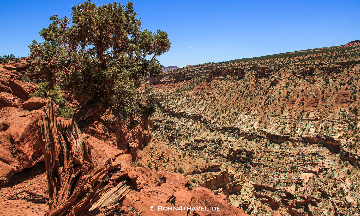 Goosenecks Overlook,Capital Reef National Park,Utah,USA,born4travel.de