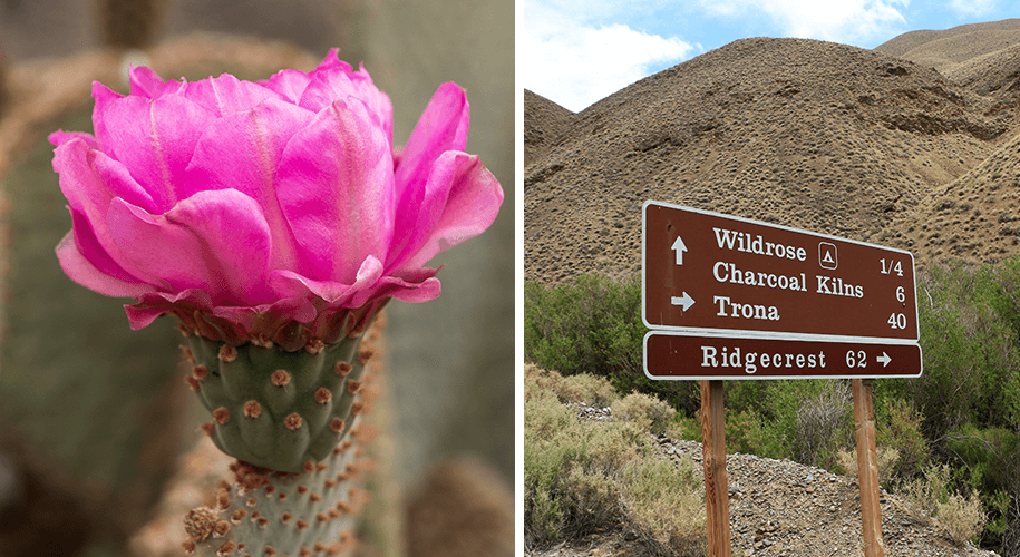 Emigrant Valley Rd, california, ridgecrest