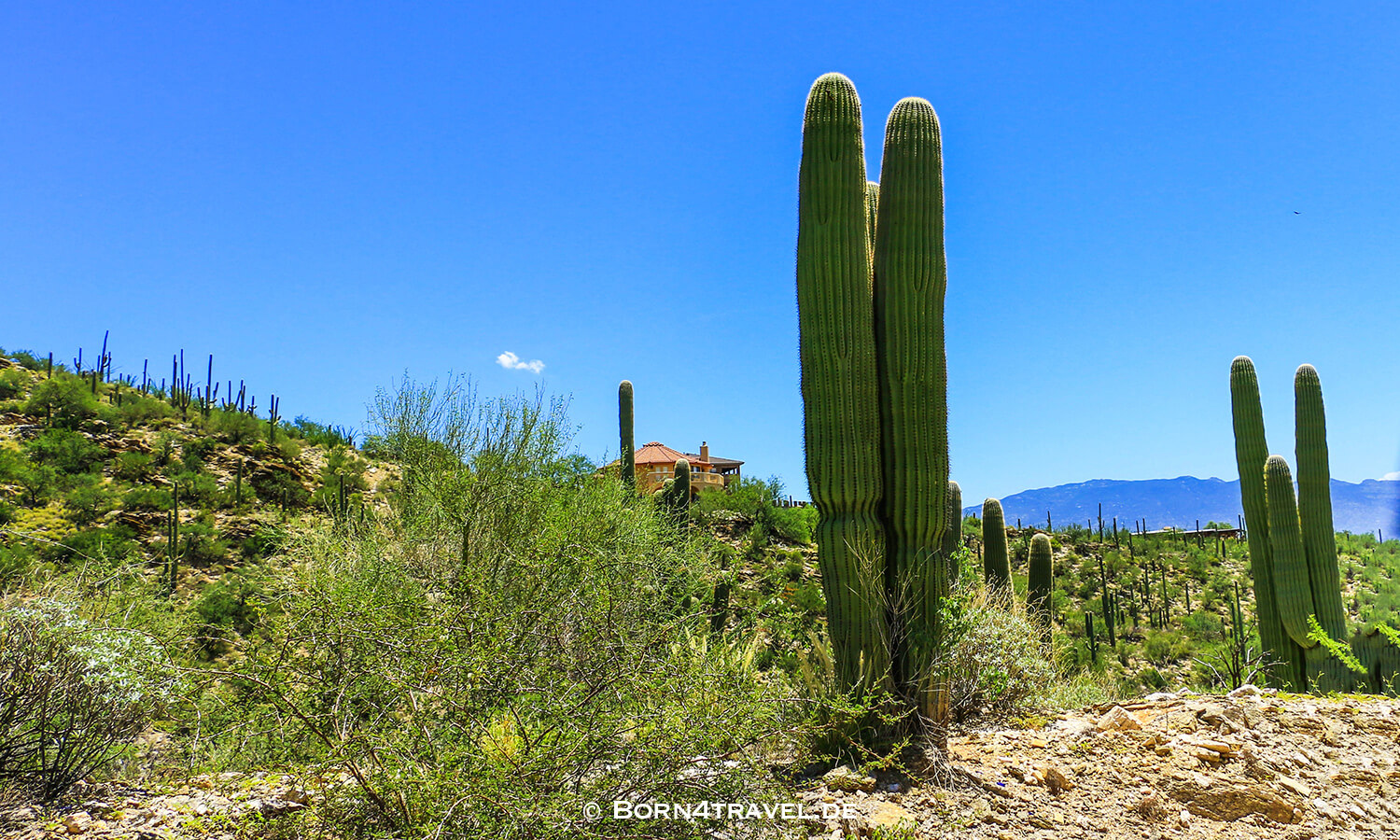 Catalina Hwy,General HitchcockHwy, Mt Lemmon Hwy,Tucson,Southwest,Arizona,USA,born4travel.de