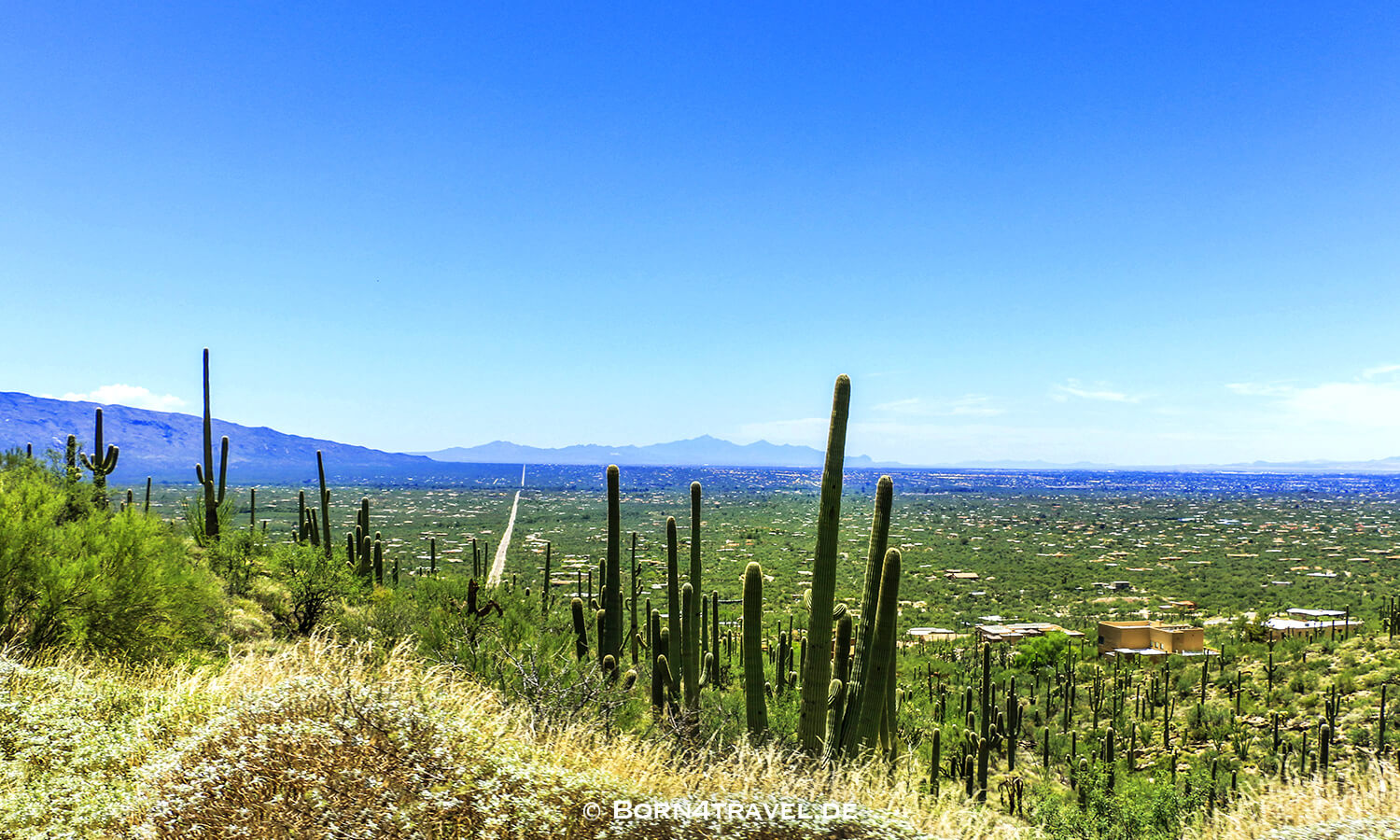 Catalina Hwy,General HitchcockHwy, Mt Lemmon Hwy,Tucson,Southwest,Arizona,USA,born4travel.de