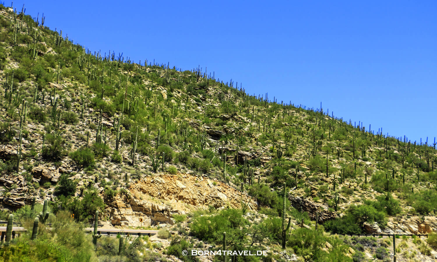 Catalina Hwy,General HitchcockHwy, Mt Lemmon Hwy,Tucson,Southwest,Arizona,USA,born4travel.de