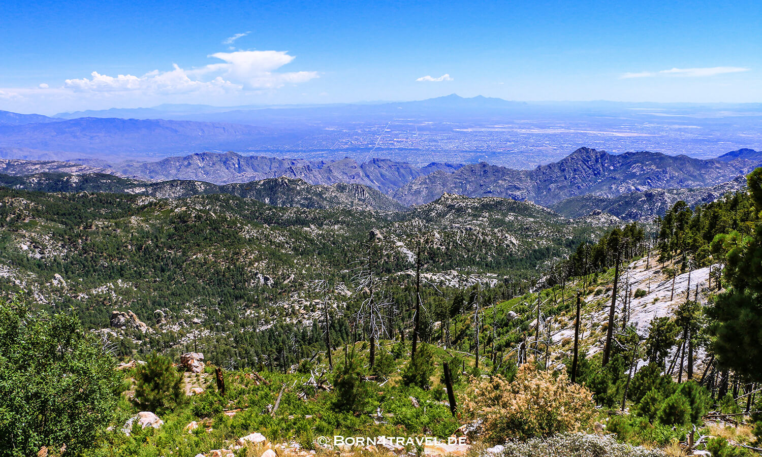 Catalina Hwy,General HitchcockHwy, Mt Lemmon Hwy,Tucson,Southwest,Arizona,USA,born4travel.de