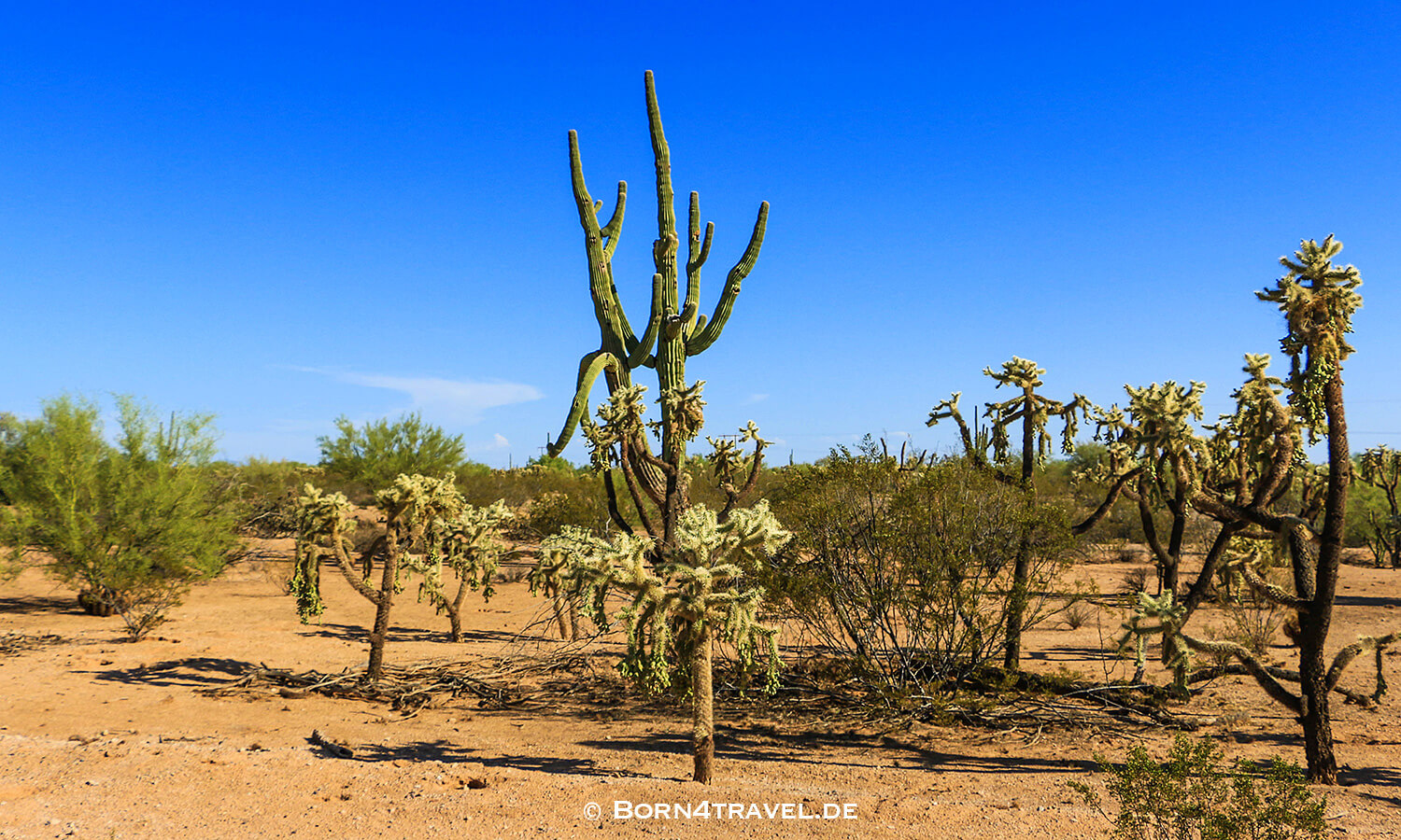 Tucson,Southwest,Arizona,USA,born4travel.de