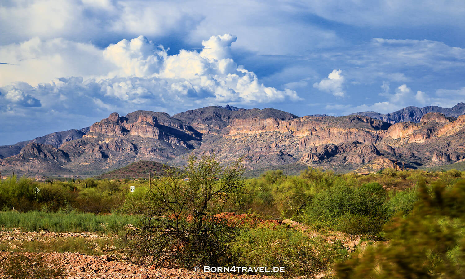 Tucson,Southwest,Arizona,USA,born4travel.de