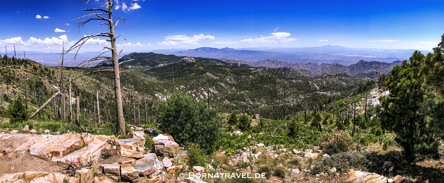 Catalina Hwy,General HitchcockHwy, Mt Lemmon Hwy,Tucson,Southwest,Arizona,USA,born4travel.de