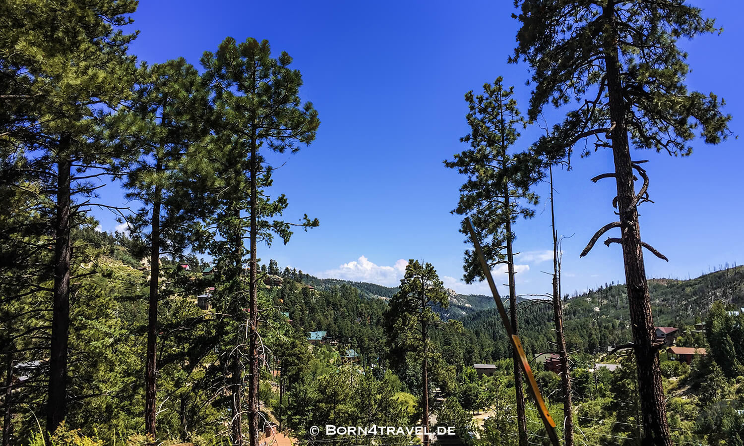 Summerhaven,Catalina Hwy,General HitchcockHwy, Mt Lemmon Hwy,Tucson,Southwest,Arizona,USA,born4travel.de