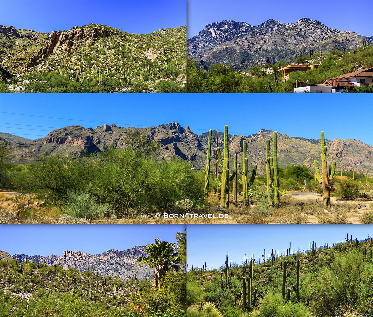 Tucson,Southwest,Arizona,USA,born4travel.de