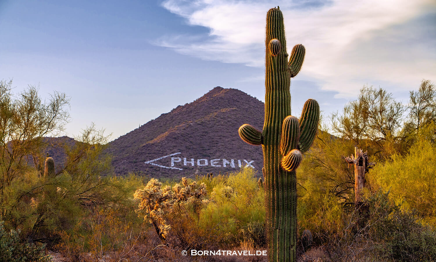 Phon D Sutton,Scottsdale,Southwest,USA,born4travel.de Phon D Sutton,Scottsdale,Southwest,USA,born4travel.de