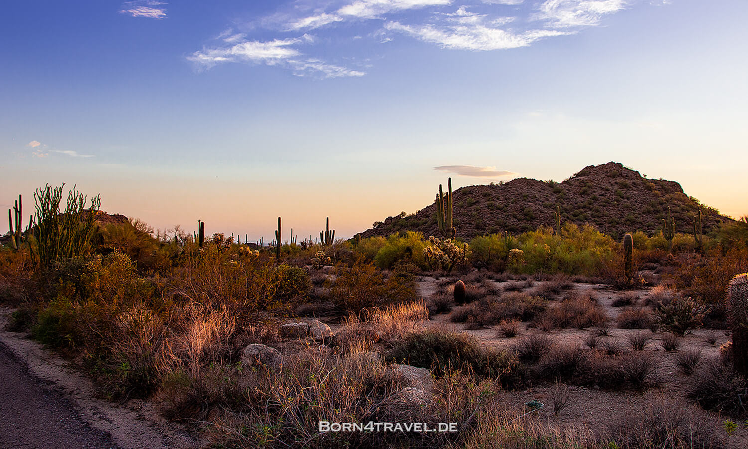 Phon D Sutton,Scottsdale,Southwest,USA,born4travel.de Phon D Sutton,Scottsdale,Southwest,USA,born4travel.de