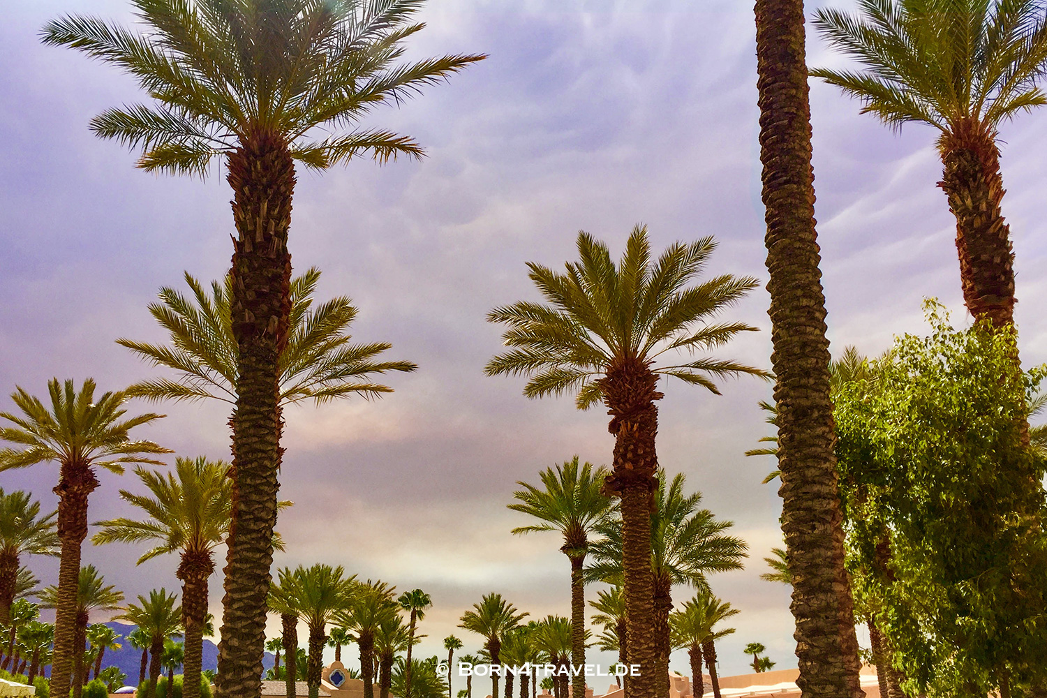 Wildfire in Desert,Rancho Mirage,California,Southwest,USA,born4travel.de Wildfire in Desert,Rancho Mirage,California,Southwest,USA,born4travel.de