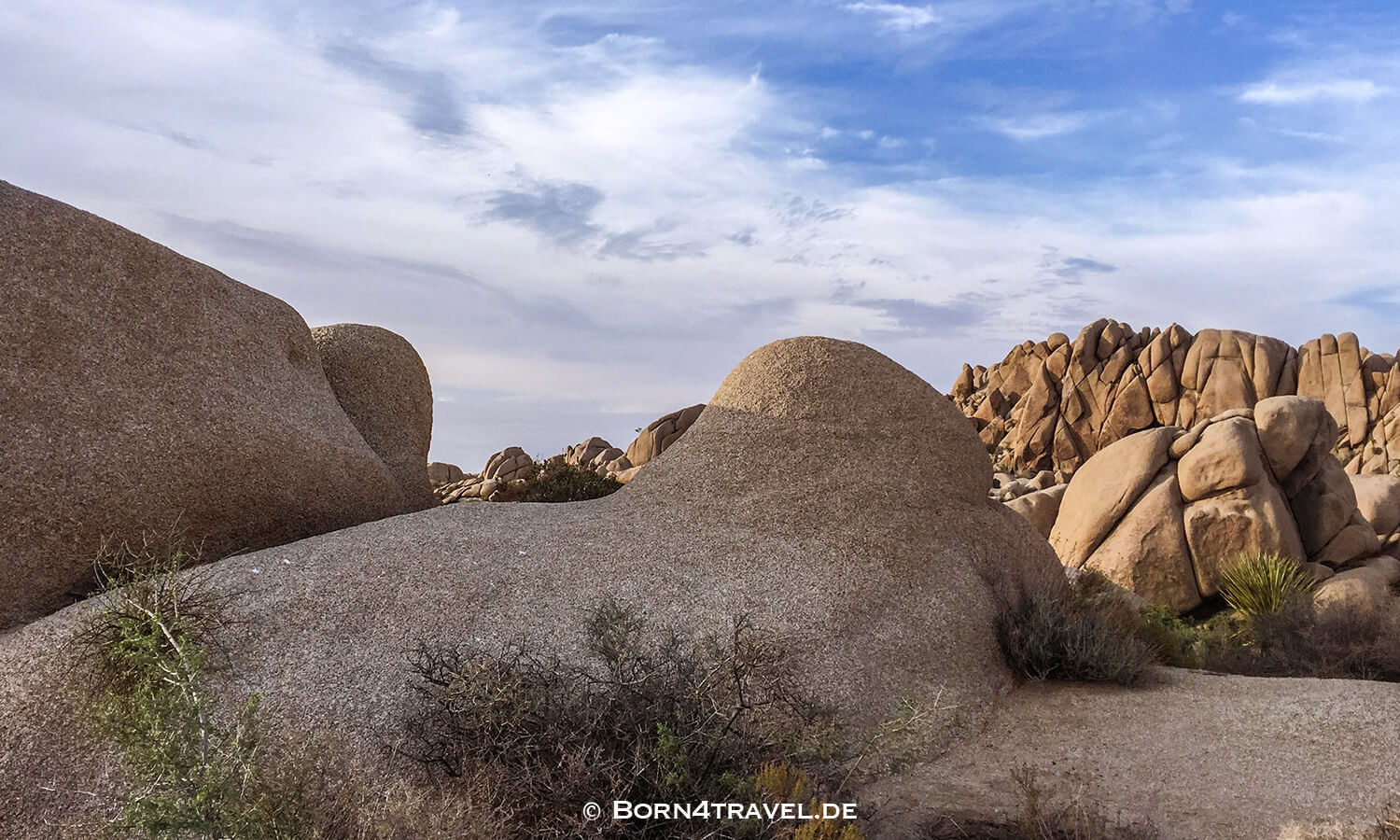 Joshua Tree NP,California,Southwest,USA,born4travel.de