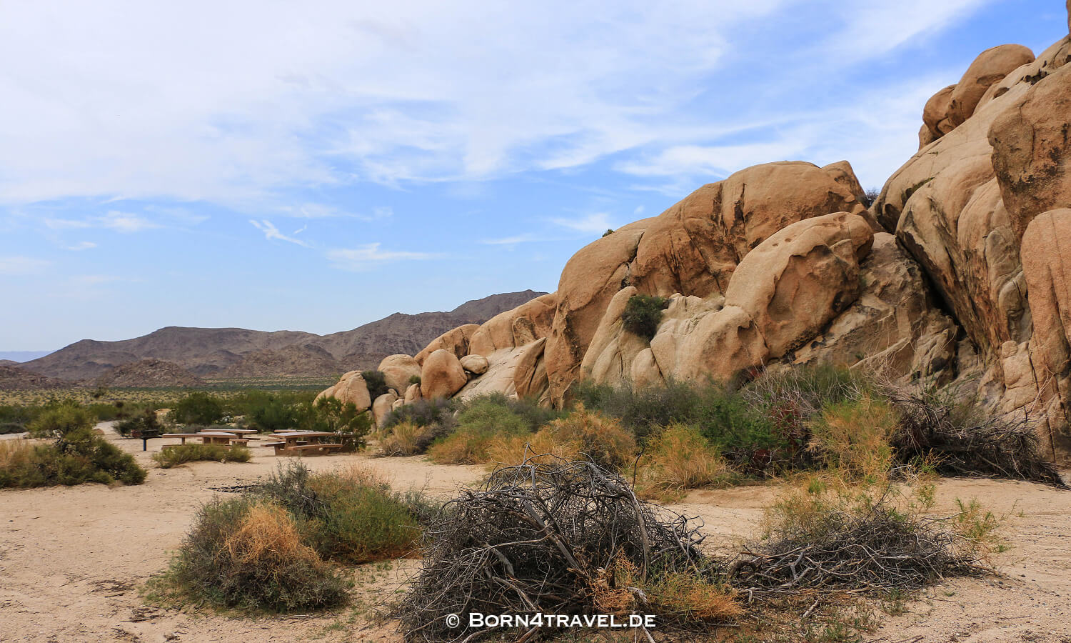 Joshua Tree NP,Indian Cove Campground,California,Southwest,USA,born4travel.de