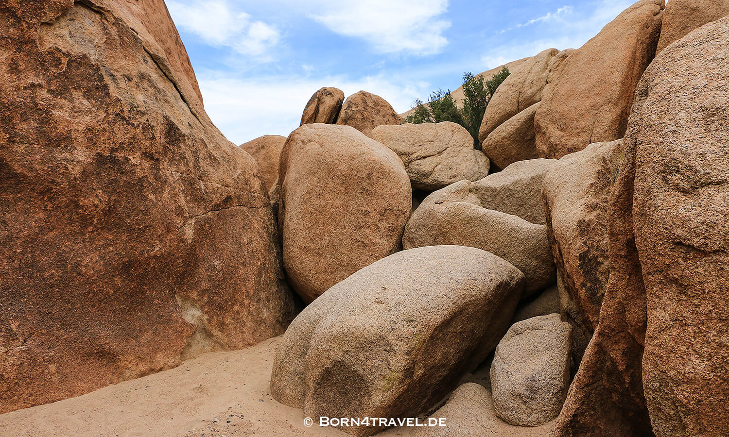 Joshua Tree NP,Indian Cove Campground,California,Southwest,USA,born4travel.de