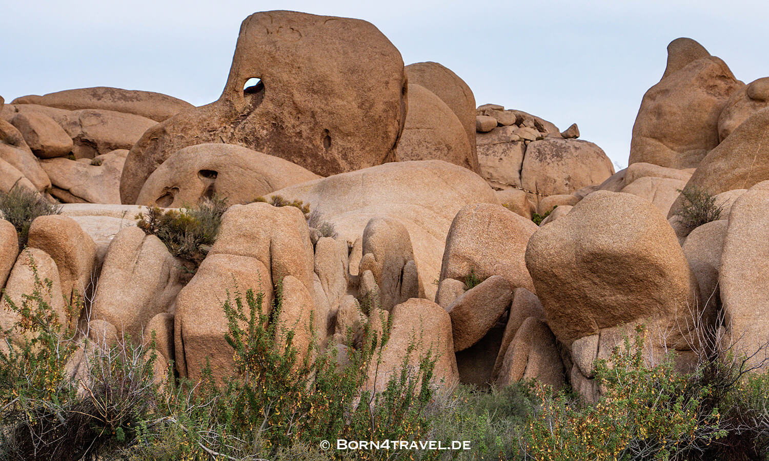 Joshua Tree NP,California,Southwest,USA,born4travel.de