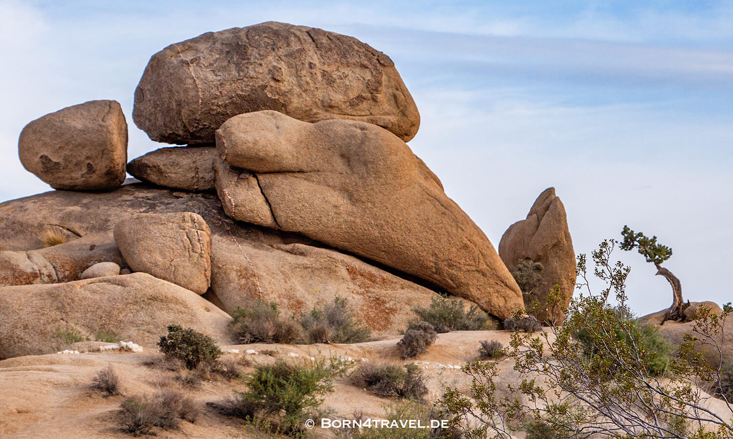 Joshua Tree NP,California,Southwest,USA,born4travel.de