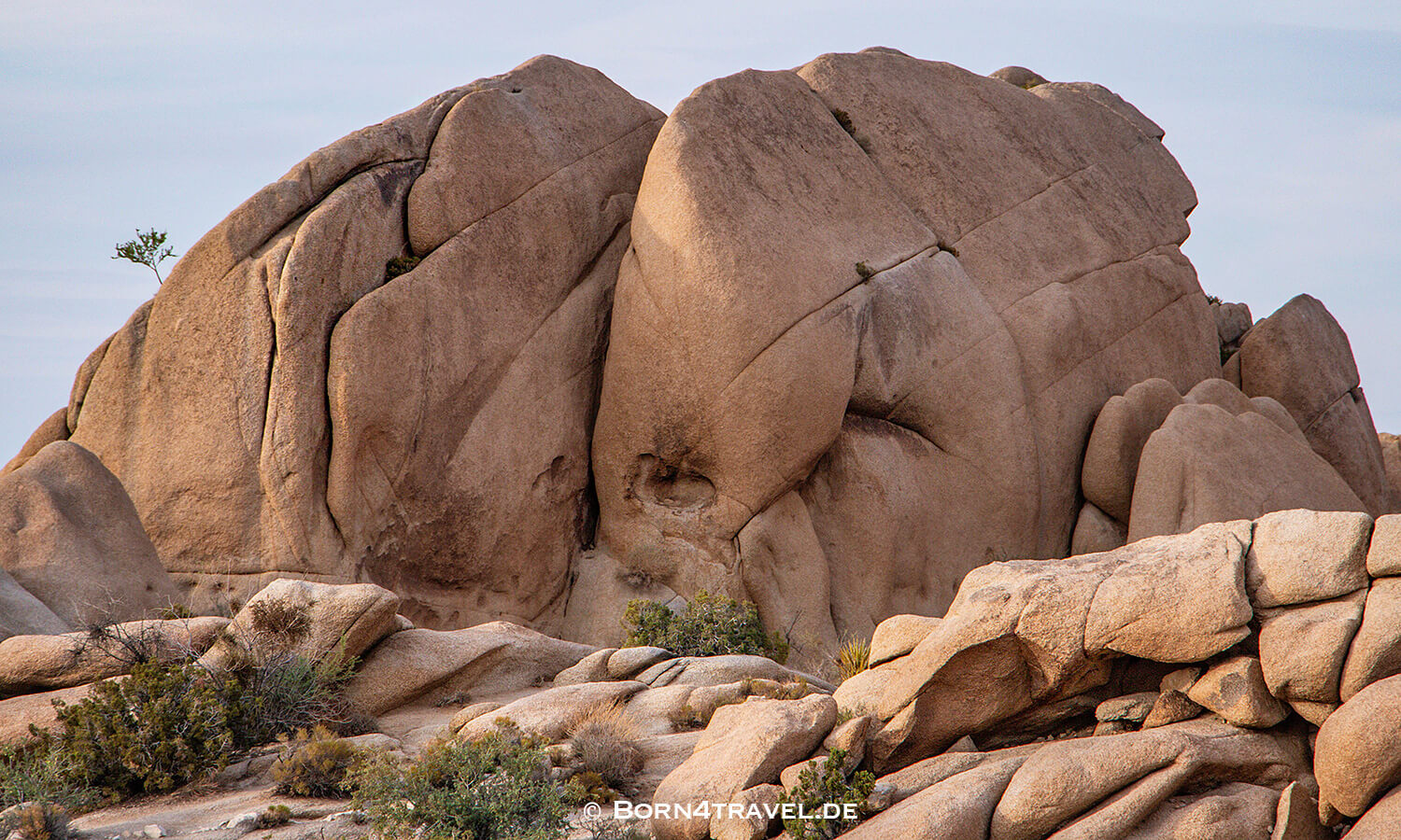 Joshua Tree NP,California,Southwest,USA,born4travel.de