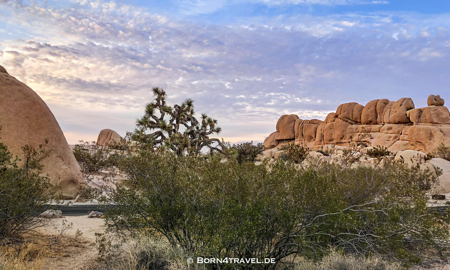 Joshua Tree NP,California,Southwest,USA,born4travel.de