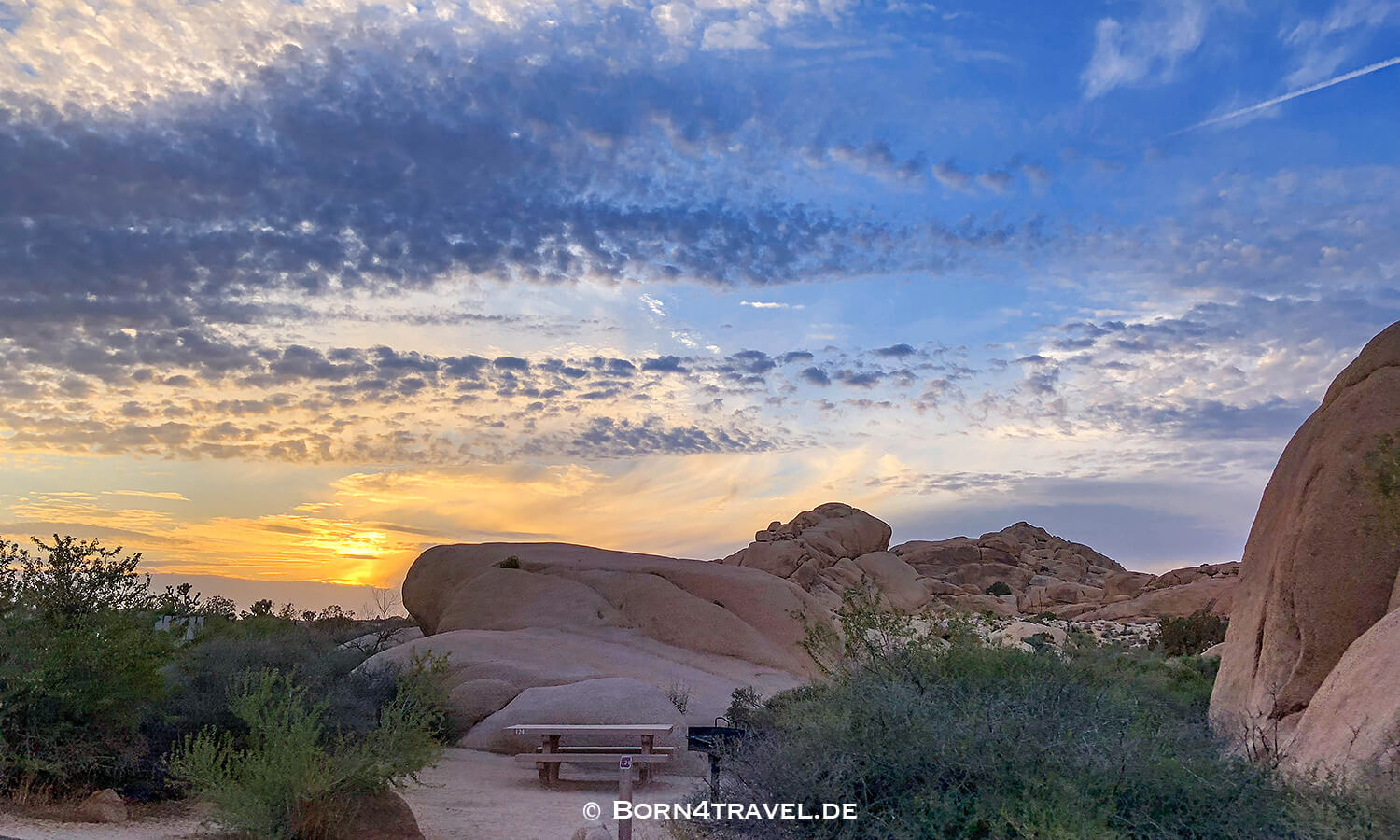 Joshua Tree NP,California,Southwest,USA,born4travel.de