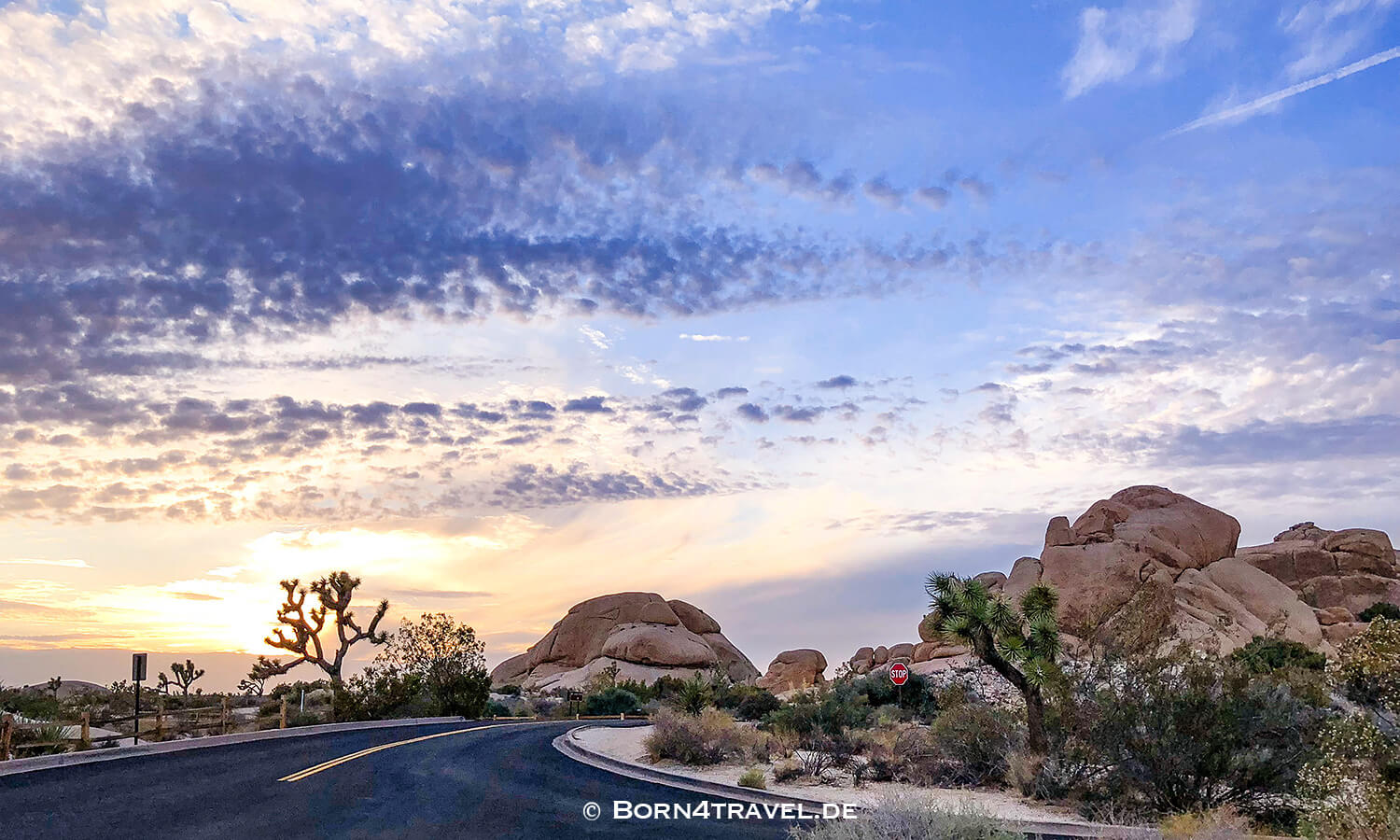 Joshua Tree NP,California,Southwest,USA,born4travel.de