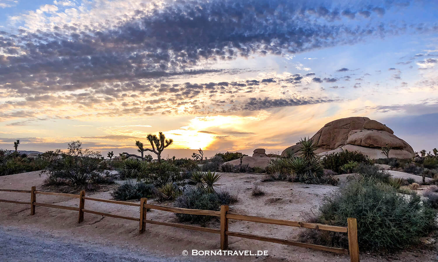 Joshua Tree NP,California,Southwest,USA,born4travel.de