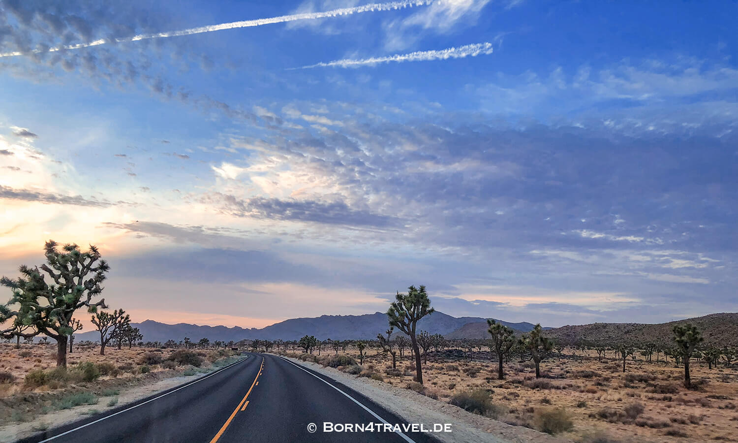 Joshua Tree NP,California,Southwest,USA,born4travel.de
