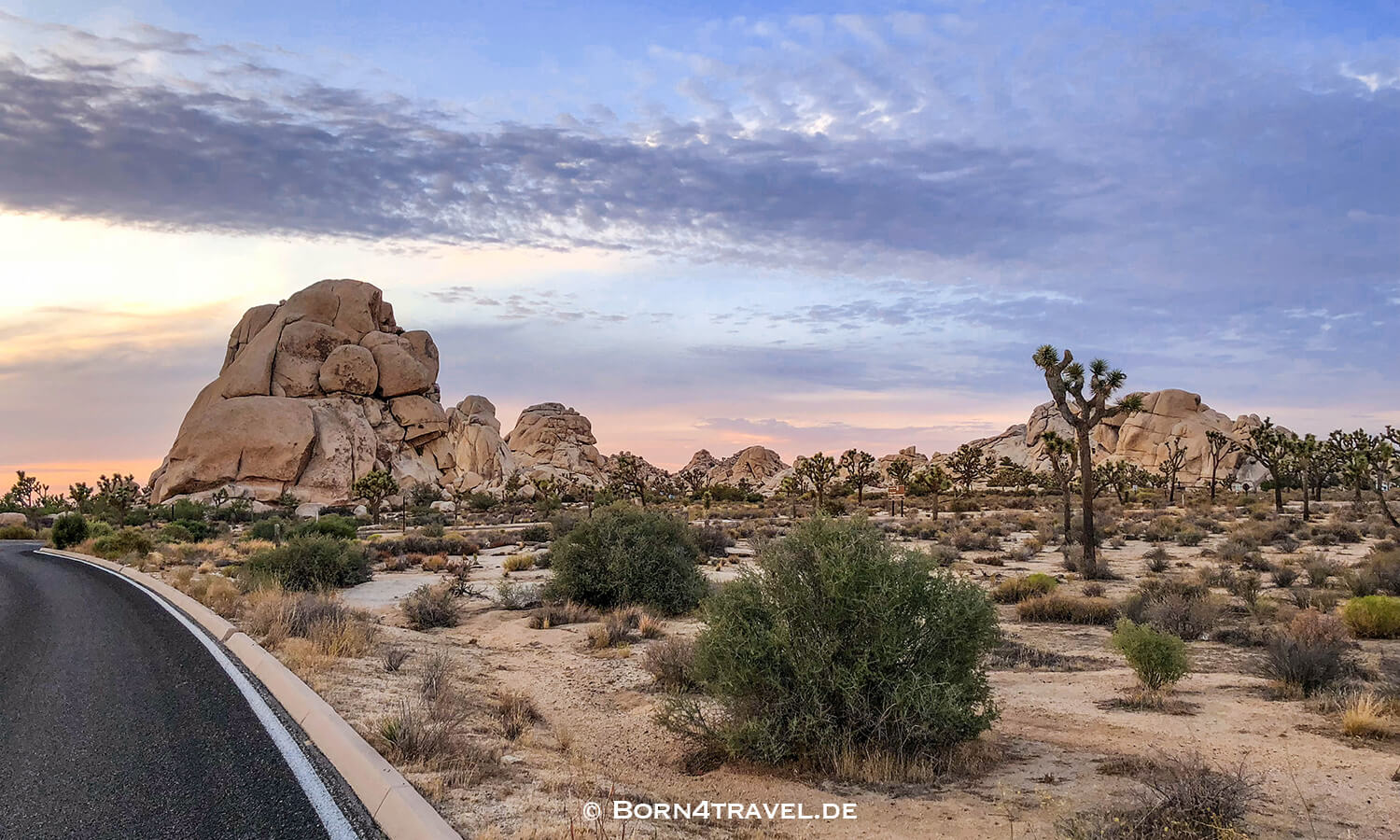 Joshua Tree NP,California,Southwest,USA,born4travel.de
