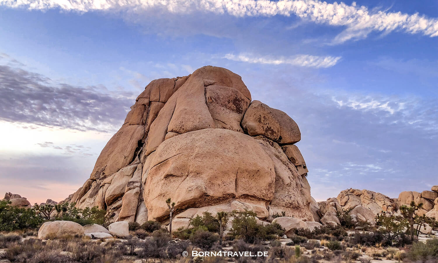 Joshua Tree NP,California,Southwest,USA,born4travel.de