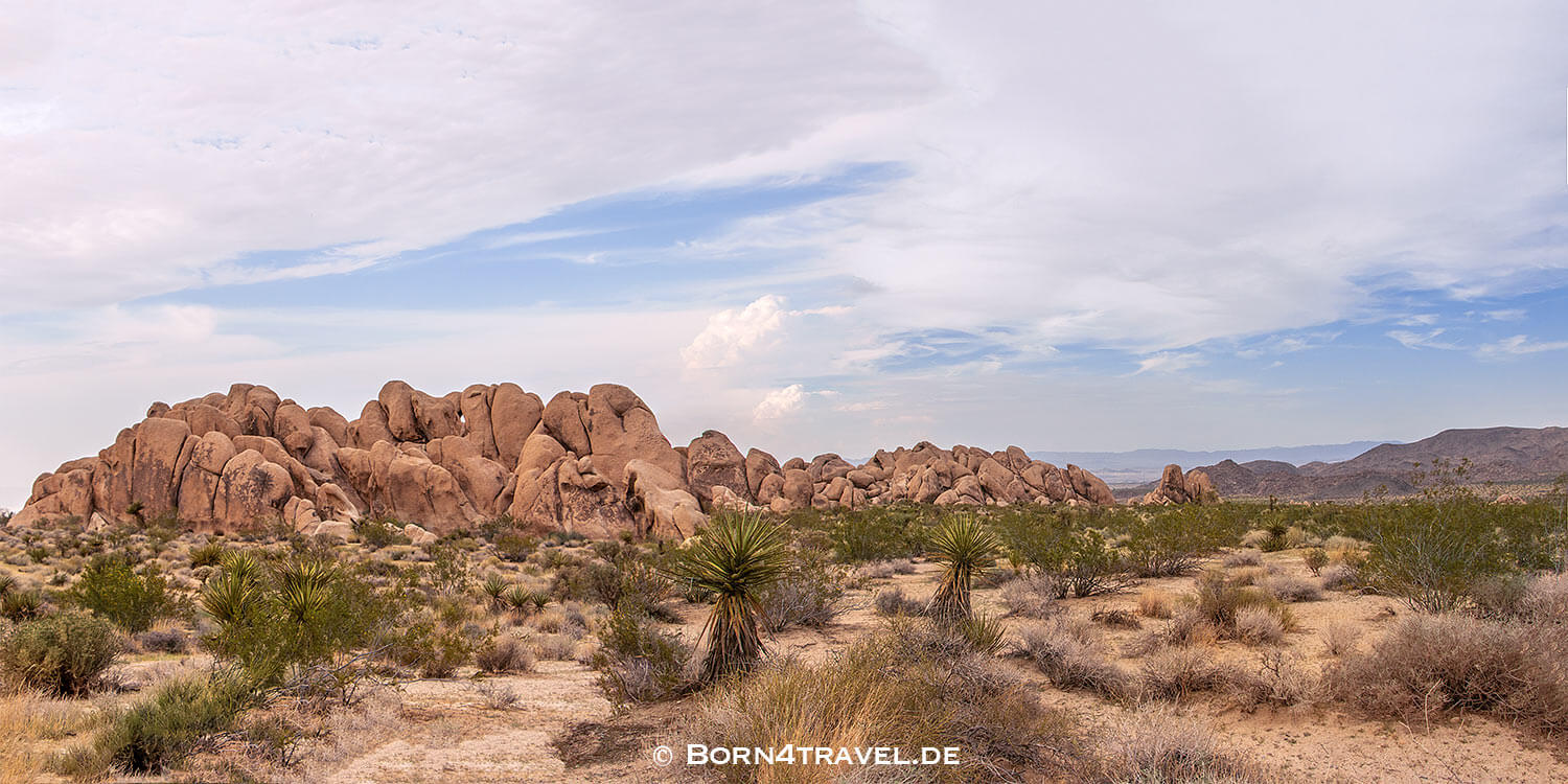 Joshua Tree NP,Indian Cove Campground,California,Southwest,USA,born4travel.de