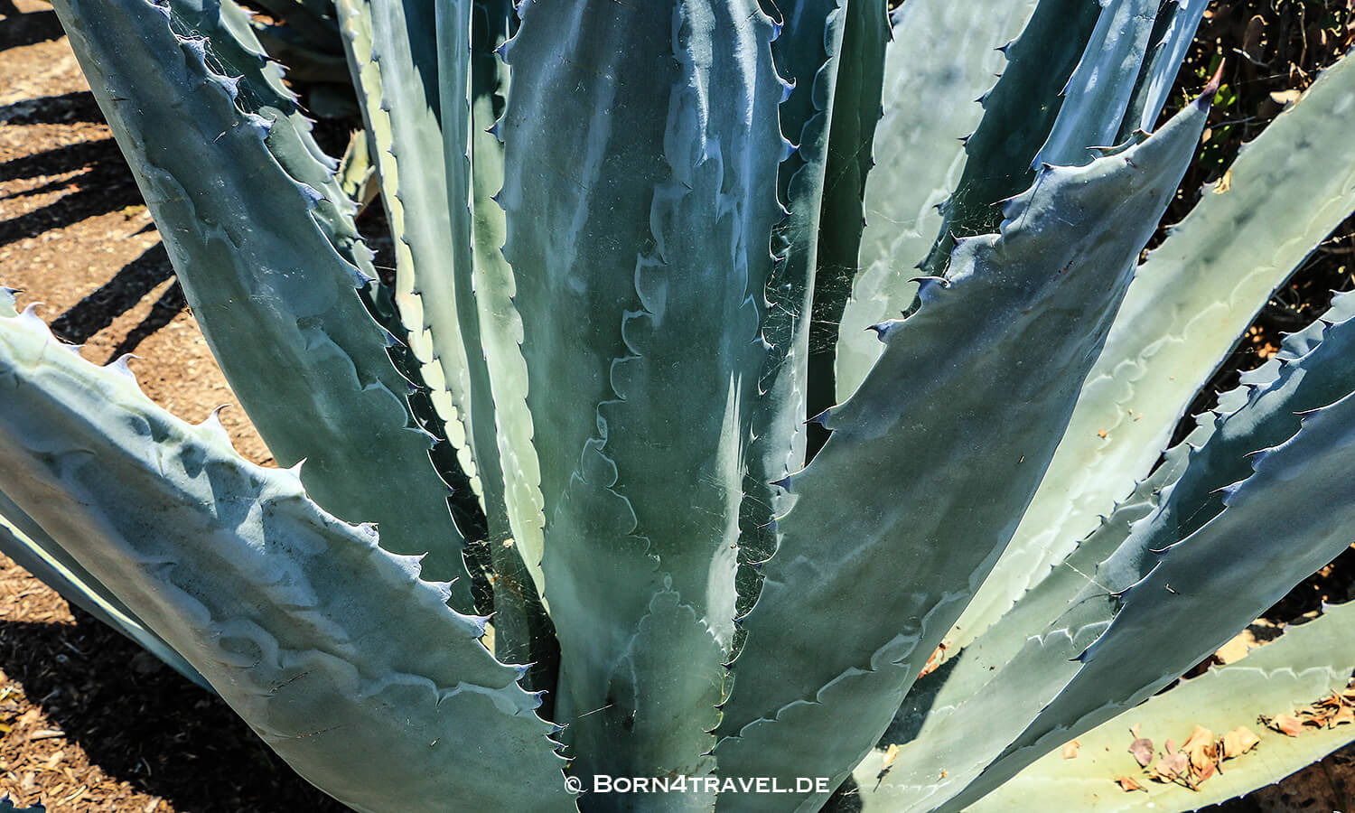 treasure Island Park Aliso Beach,Orange County,California,USA,born4travel.de