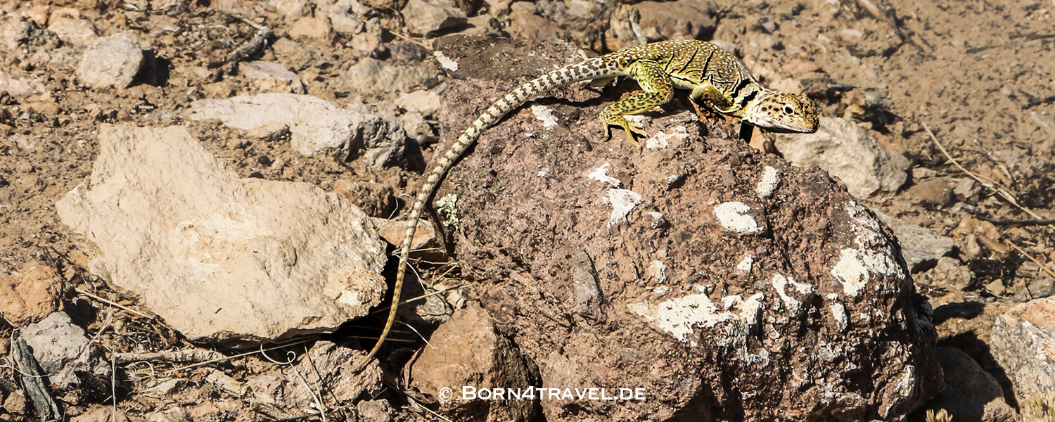 Kasha Katuwe, Tented Rocks,New Mexico,Southwest,USA,born4travel.de