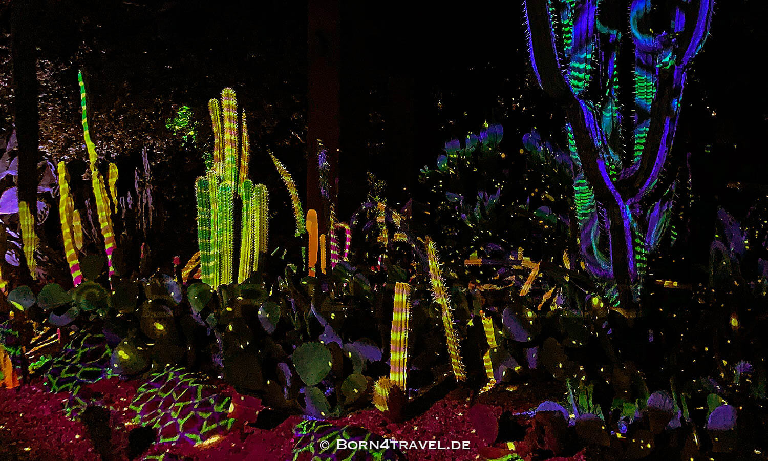 Phoenix Desert Botanical Garden - Electric Desert,Arizona,USA,born4travel.de Phoenix Desert Botanical Garden - Electric Desert,Arizona,USA,born4travel.de