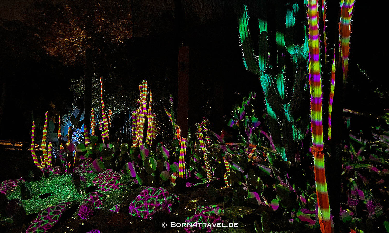 Phoenix Desert Botanical Garden - Electric Desert,Arizona,USA,born4travel.de Phoenix Desert Botanical Garden - Electric Desert,Arizona,USA,born4travel.de