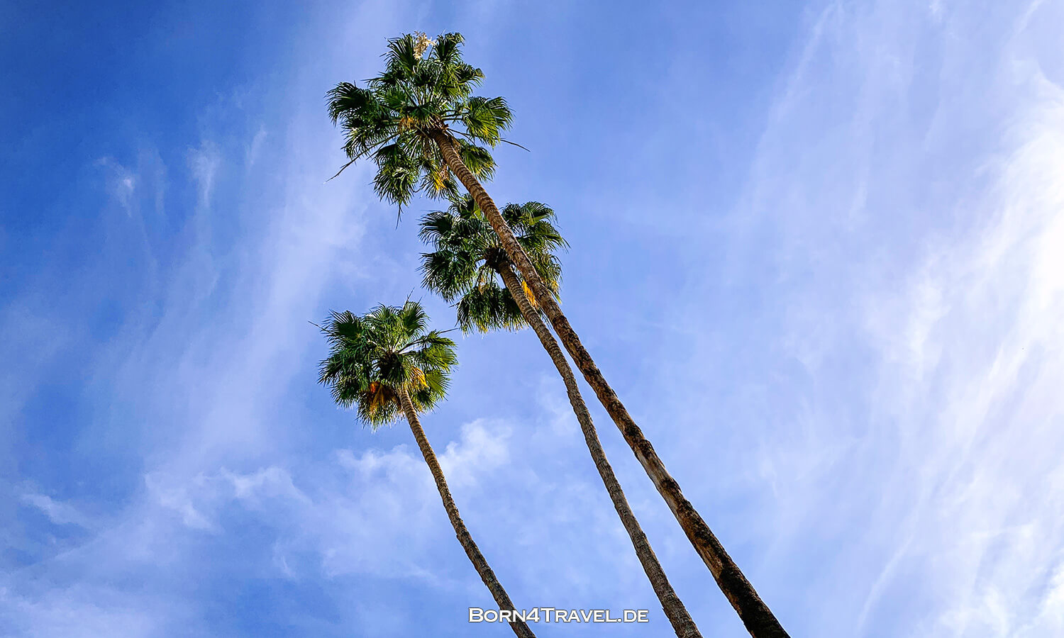 Palm Springs,Coachella Valley,California,USA,born4travel.de
